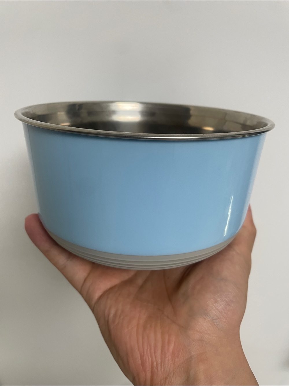 Blue Stainless Steel Pet Bowl